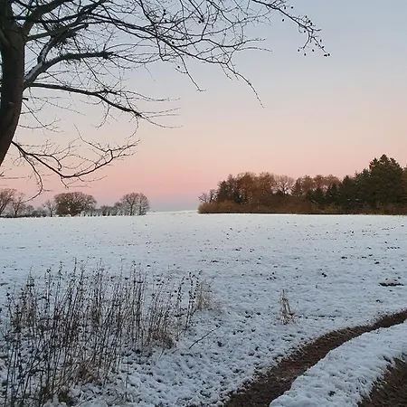 Couette-café Edelsminde 2*