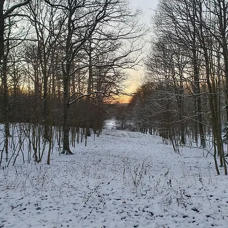 Bed & Breakfast Edelsminde Haslev