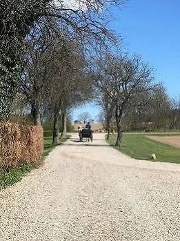 Oda ve Kahvaltı Edelsminde 2*